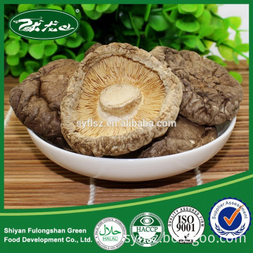 Chinese Rare Edible Abalone mushroom and natural dried shiitake mushrooms